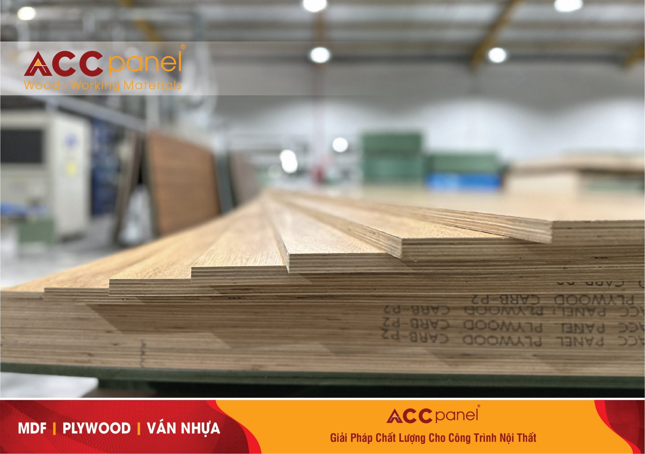 6 điều Về Plywood Mà Bạn Chưa Biết? Tổng Hợp Từ A-Z - ACC Panel - Nhà ...