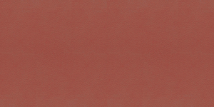 PVC55