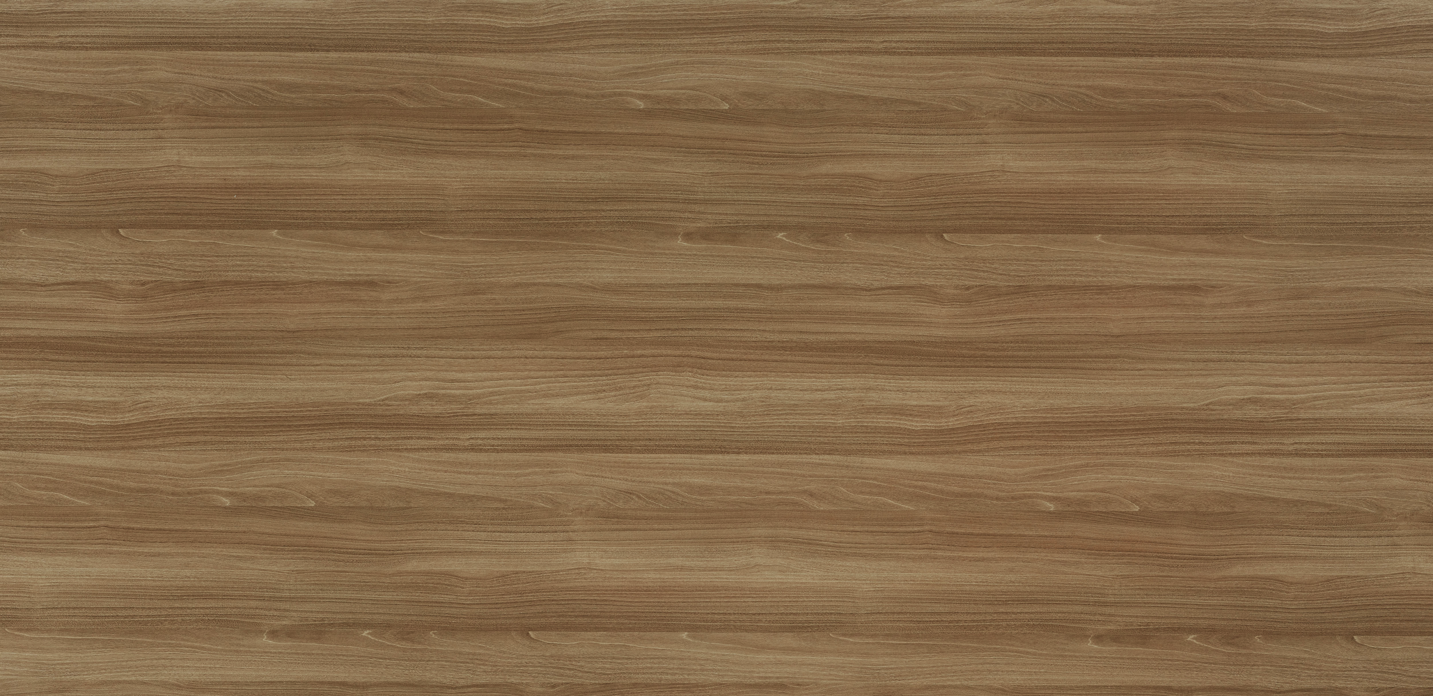 Màu 404 ACC Panel