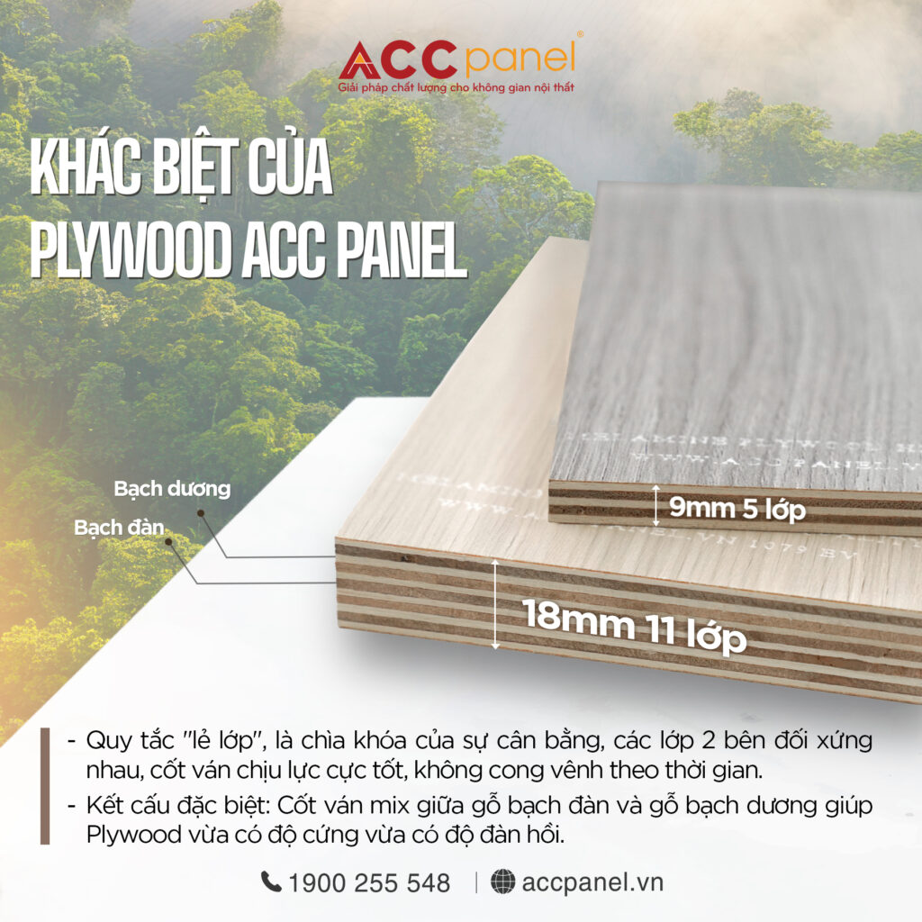 Gỗ ván ép Plywood: Vật liệu an toàn cho nội thất hiện đại